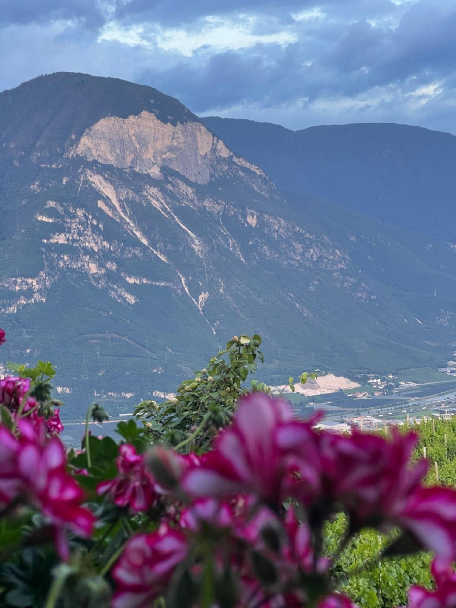 Kerschbamerhof Im Sueden Suedtirols Cortaccia Buitenkant foto