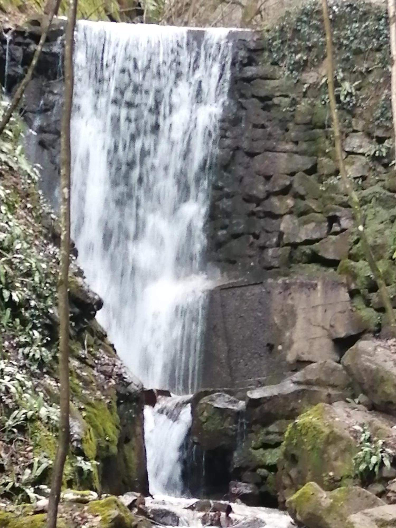 Kerschbamerhof Im Sueden Suedtirols Cortaccia Buitenkant foto