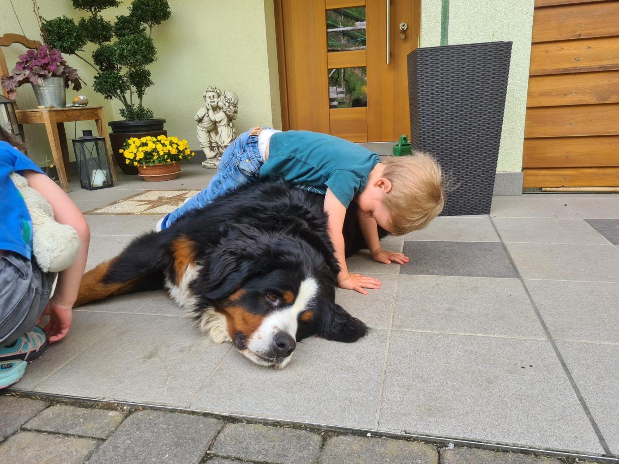 Kerschbamerhof Im Sueden Suedtirols Cortaccia Buitenkant foto