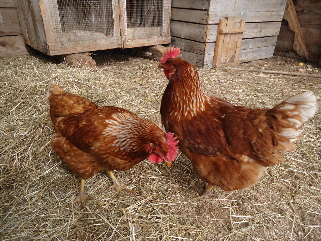 Kerschbamerhof Im Sueden Suedtirols Cortaccia Buitenkant foto