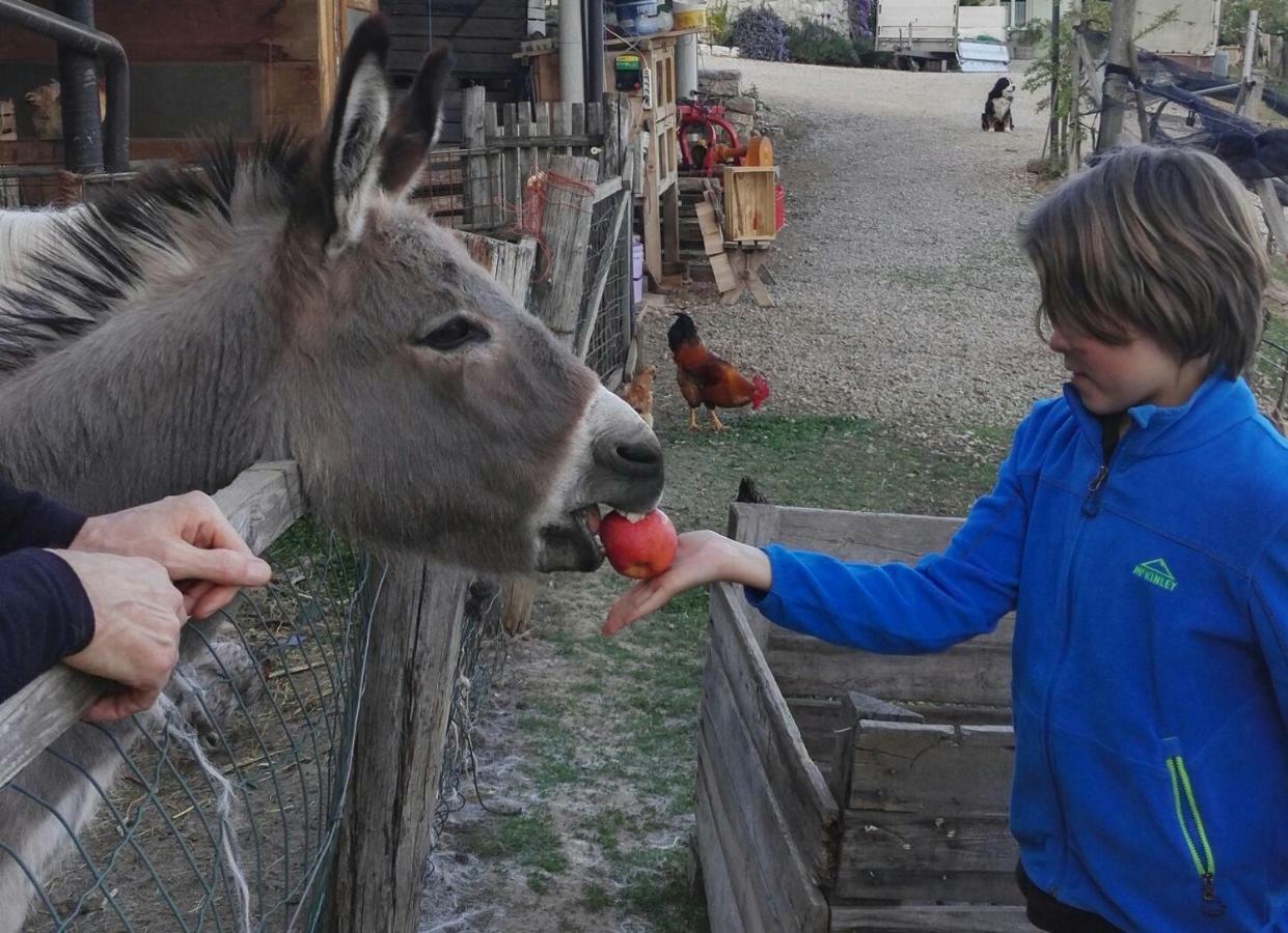 Kerschbamerhof Im Sueden Suedtirols Cortaccia Buitenkant foto